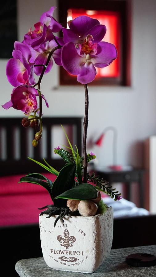Bed & Breakfast Milu Κούνεο Εξωτερικό φωτογραφία